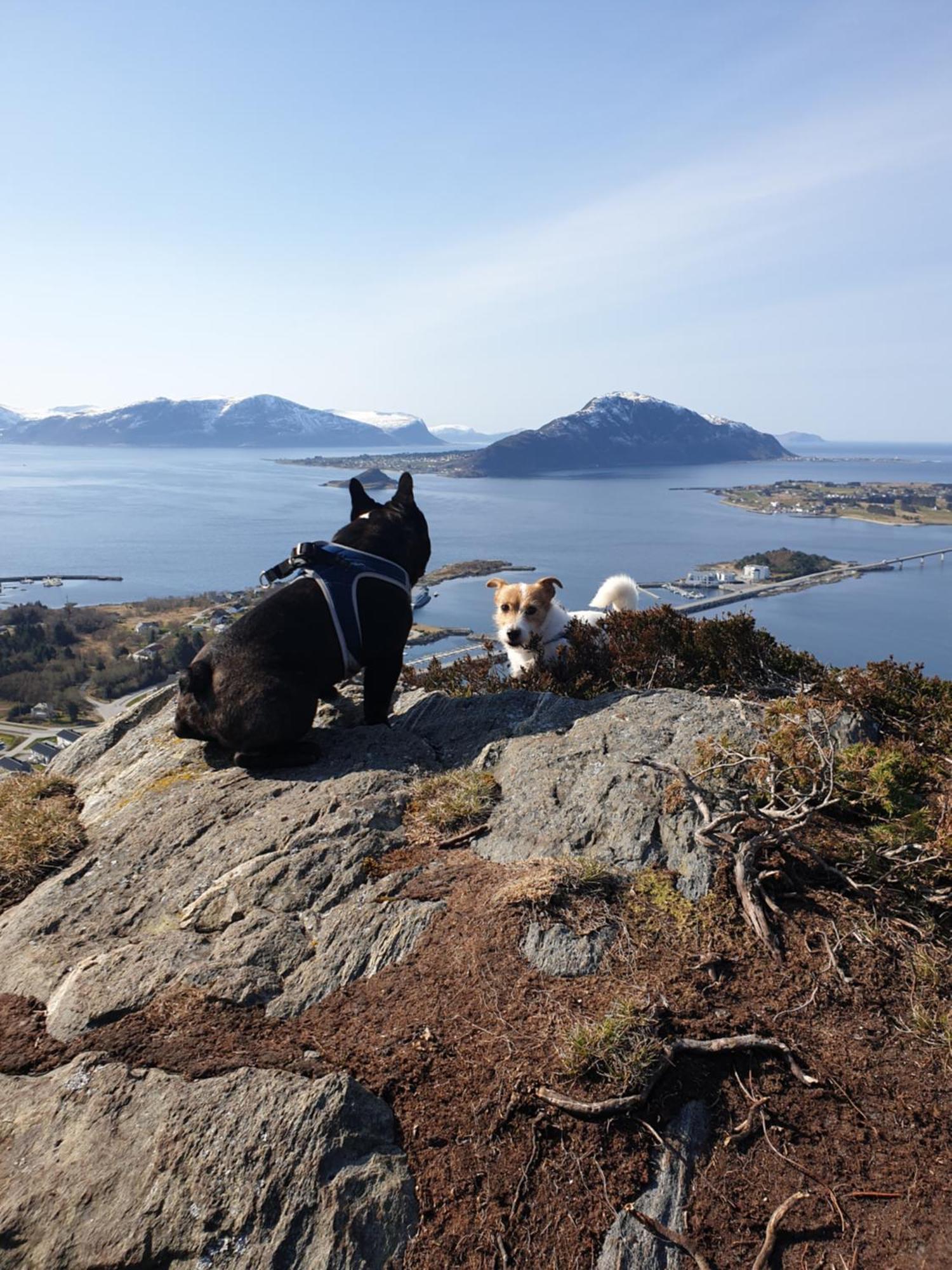 Leilighet Naer Flyplass Og Alesund Sentrum Ytterland Exterior photo